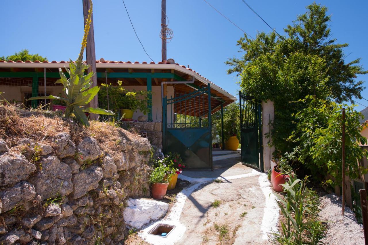 Basil & Guest House Lazarata Екстер'єр фото