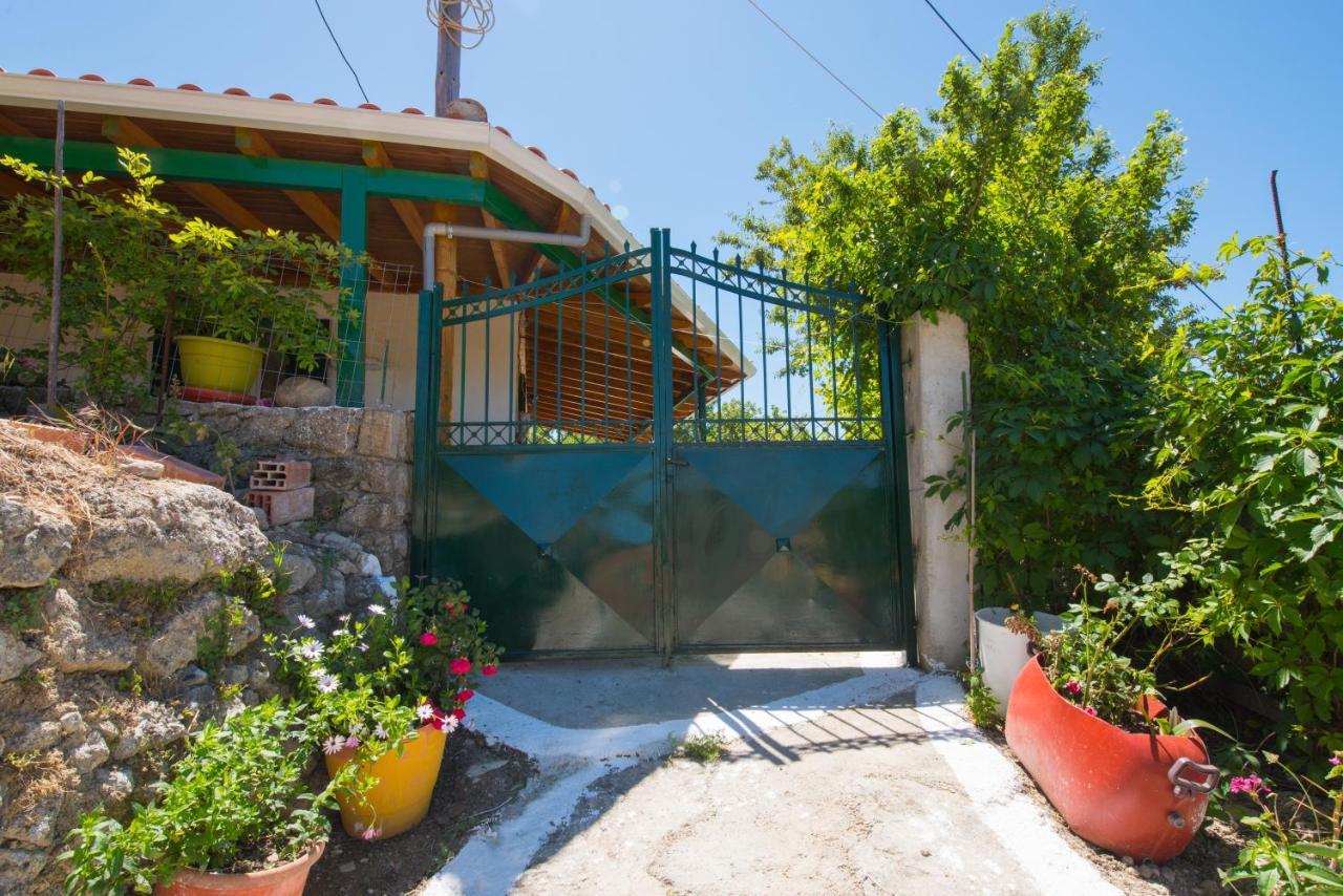 Basil & Guest House Lazarata Екстер'єр фото